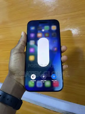 Apple iPhone 16 Pro Max 256 GB Gray