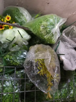 Dropping Flowers Available in Bulk. Available in Different Flowers