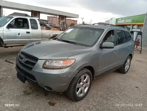 Hyundai Santa Fe 2009 Gray