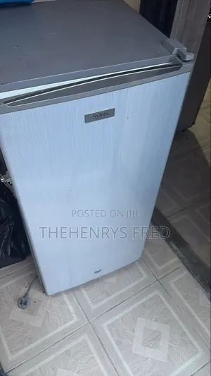 Standing Freezer