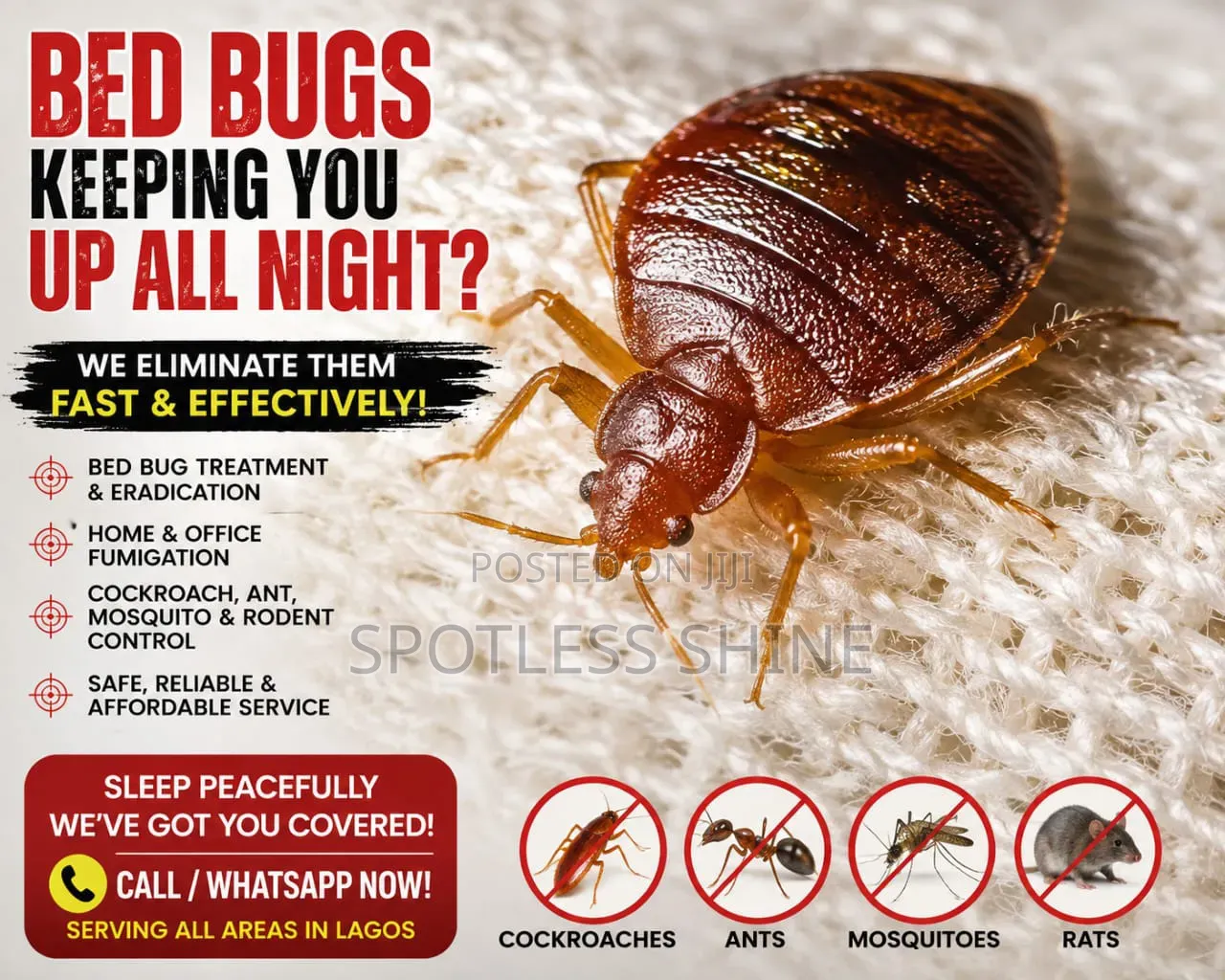 Professional Bed Bug Control Fumigation Services in Lagos