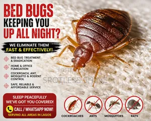 Professional Bed Bug Control Fumigation Services in Lagos