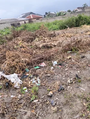 Land in a Good Location