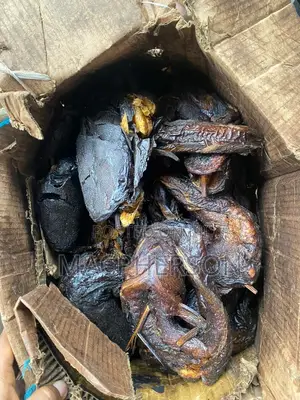 Testydryfish
