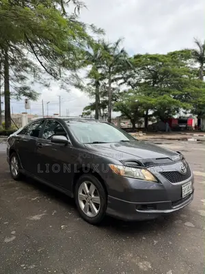 Toyota Camry 2010 Gray