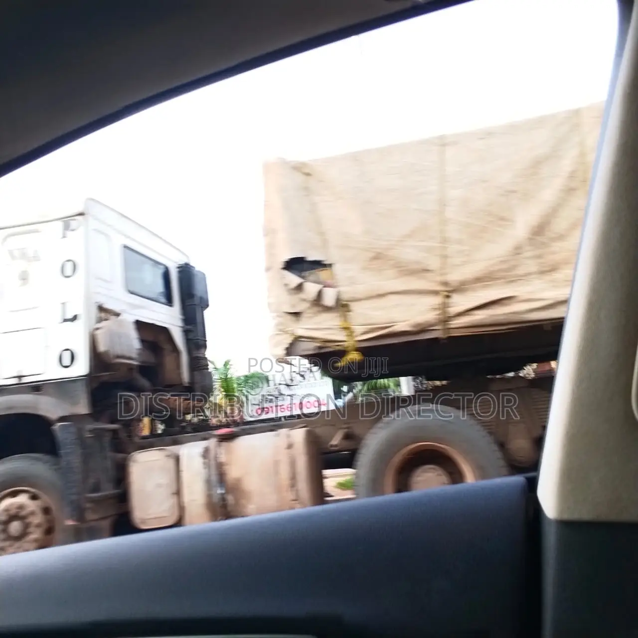 Bua Dangote Cement Distributor
