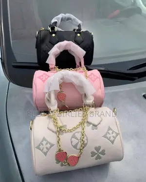 Elegant Ladies Handbag Available in Different Colors