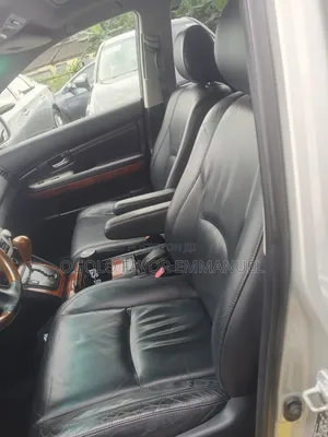 Lexus RX 330 AWD 2006 Silver