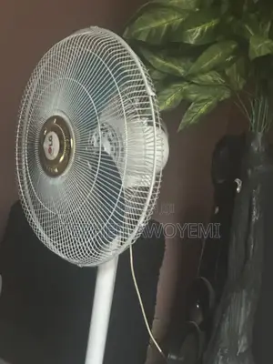 LG Standing Fan