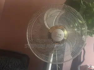 LG Standing Fan