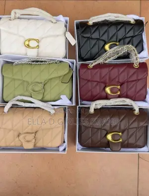 Elegant Ladies Handbag Available in Different Colors