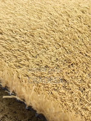 Synthetic Grasses
