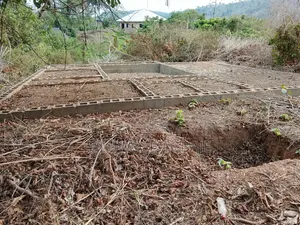 Landed Property