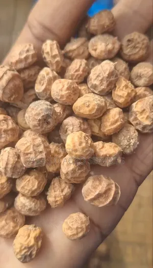 Clean and Sweet Tiger Nuts (Aya) From Niger