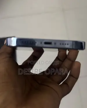Apple iPhone 13 Pro Max 256 GB Blue