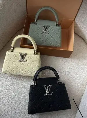 Elegant Ladies Handbag Available in Different Colors