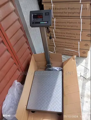 300kg A12E Electronic Digital Platform Scale