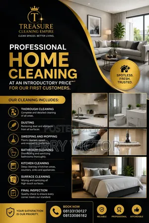 Treasure Cleaning Empire