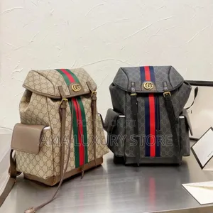 Dior/Gucci/Louis Vuitton Luxury Designer Bag Packs