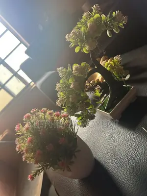 2 Different Table Top Flower Both For