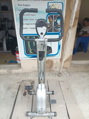 Borisan Magnus Exercise Spinning Bike