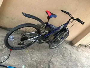 Direct Uk Used Bicycle for Adult