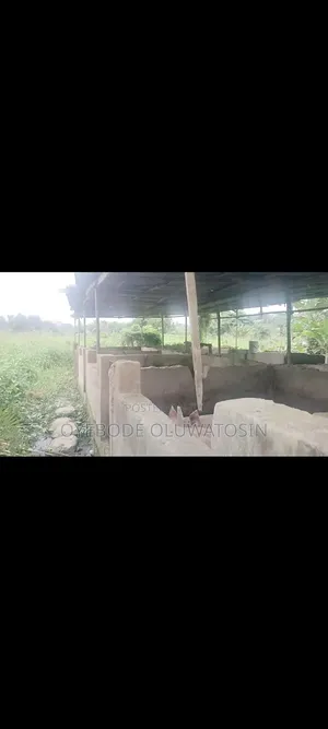 Land and Piggery Building Farm