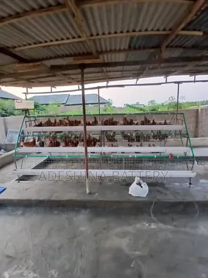 Delivery Nation Wide Cages