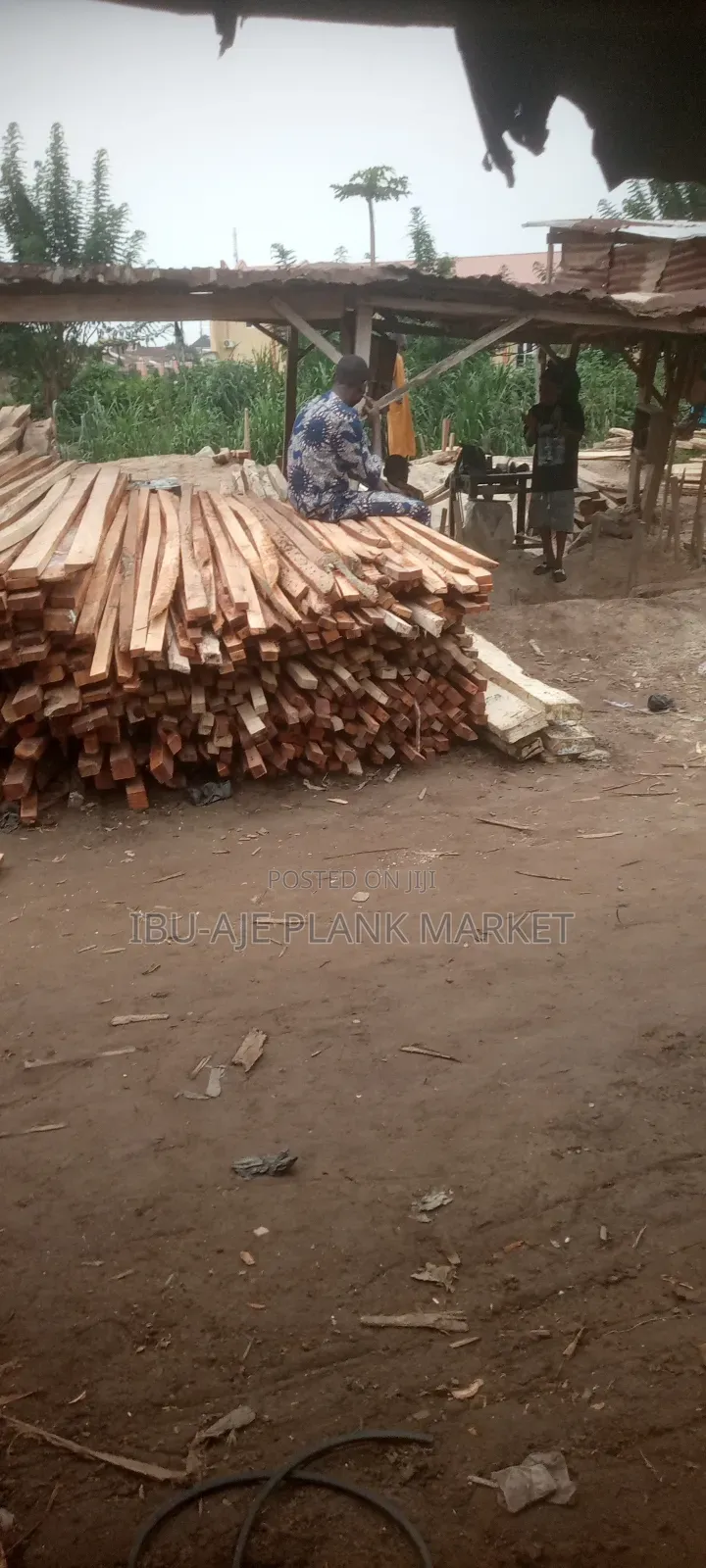 Timbers for Roofing