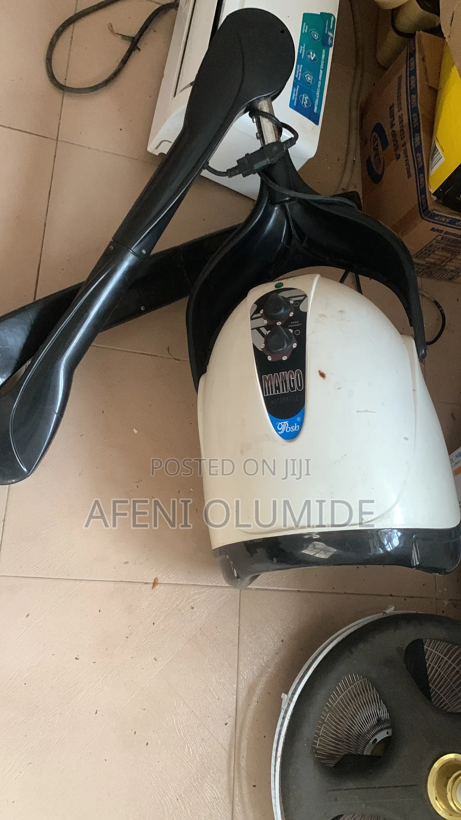 Mango Hair Dryer