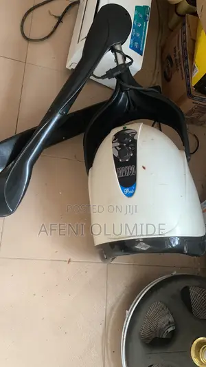 Mango Hair Dryer