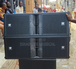 Steck Audio 12 Inchese Line and Array Speaker's
