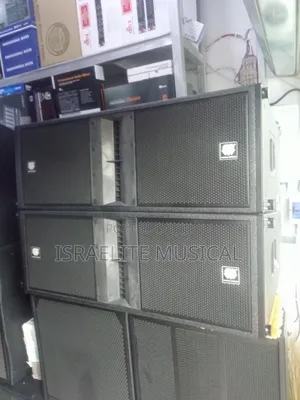 Steck Audio 12 Inchese Line and Array Speaker's