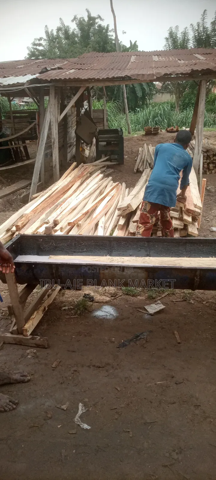Roofing Wood Treatment for Termites