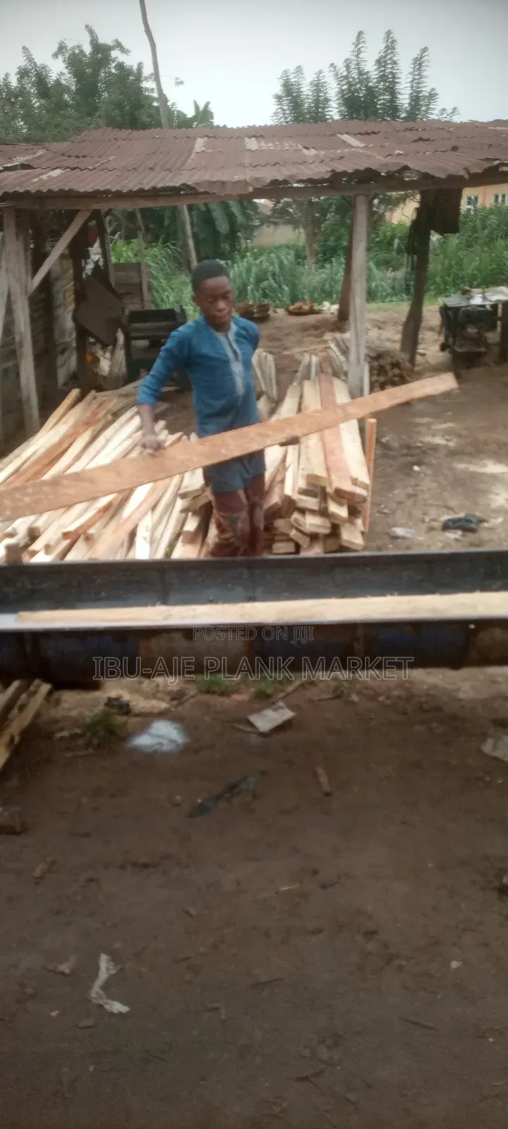 Roofing Wood Treatment for Termites