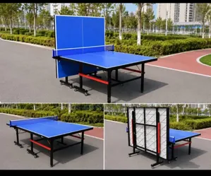 Table Tenis Full Size