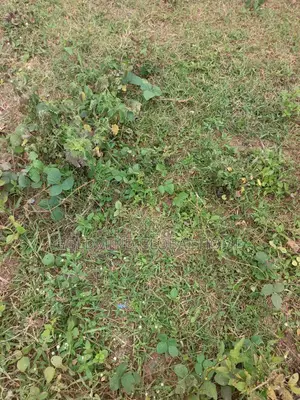 600sqm. Residential Land for Sale in Kubwa Fo1. Abuja - Nigeria