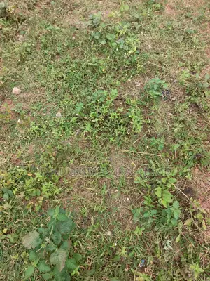 459sqm. Residential Land for Sale in Kubwa Fo1. Abuja - Nigeria