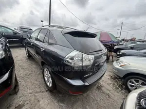 Lexus RX 350 AWD 2008 Gray