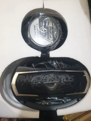 Pioneer Speaker