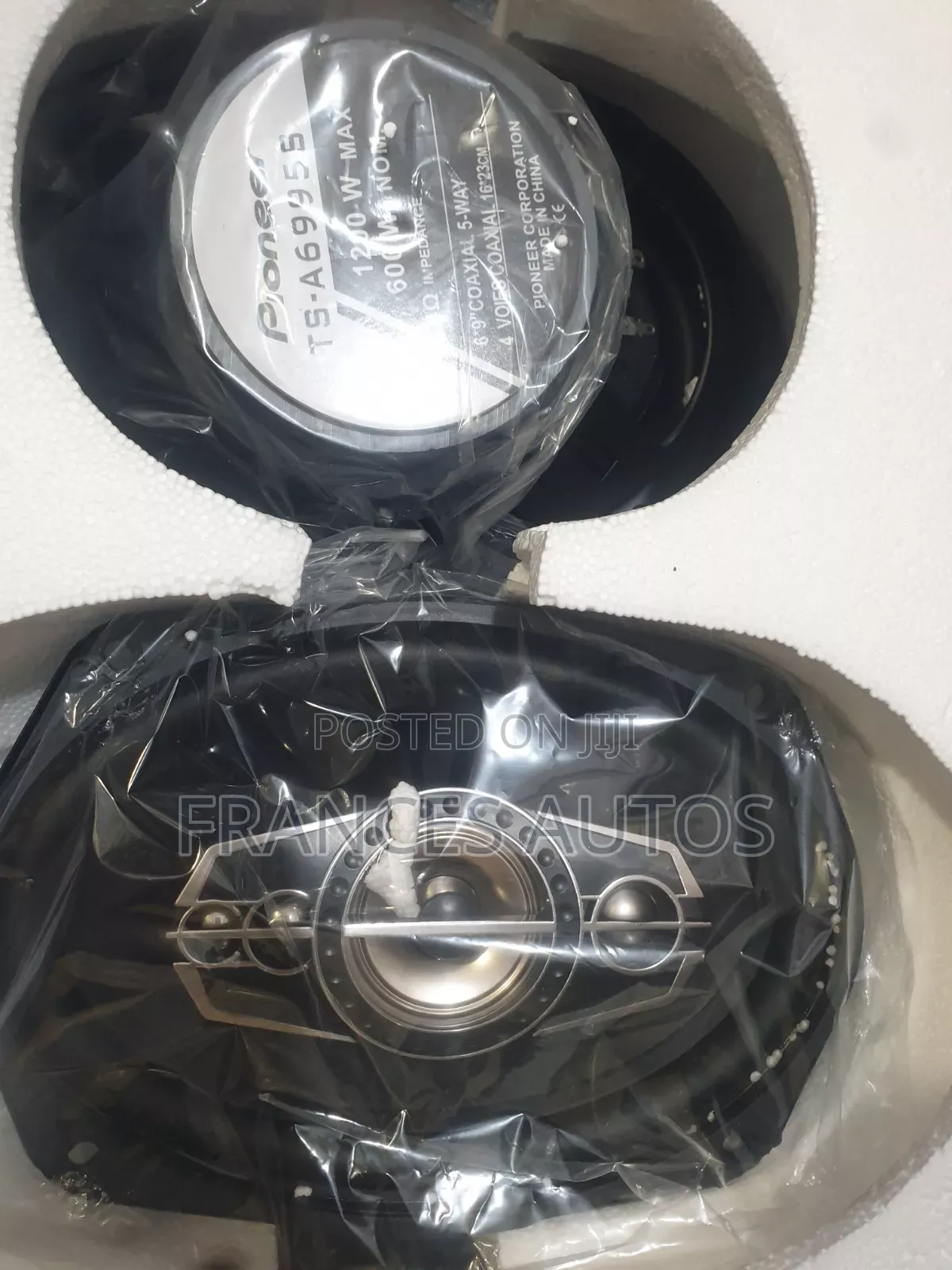 Pioneer Speaker