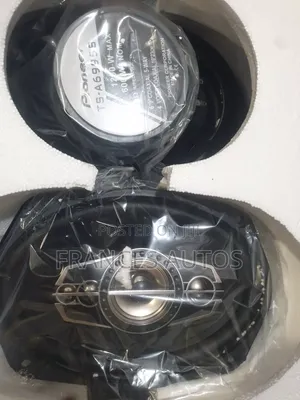 Pioneer Speaker