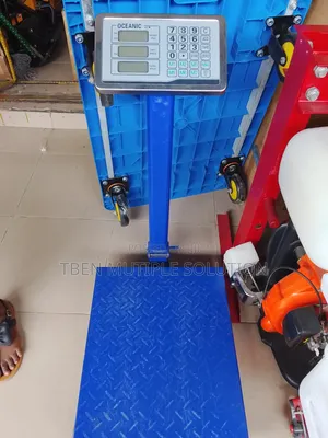 300kg Heavy-Duty Industrial Floor Platform Scale,