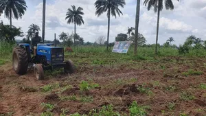 Affordable Land for Sale in Ibadan – Secure Your Plot Today