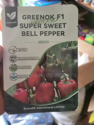 Sweet Pepper - Green Ok Bell Pepper