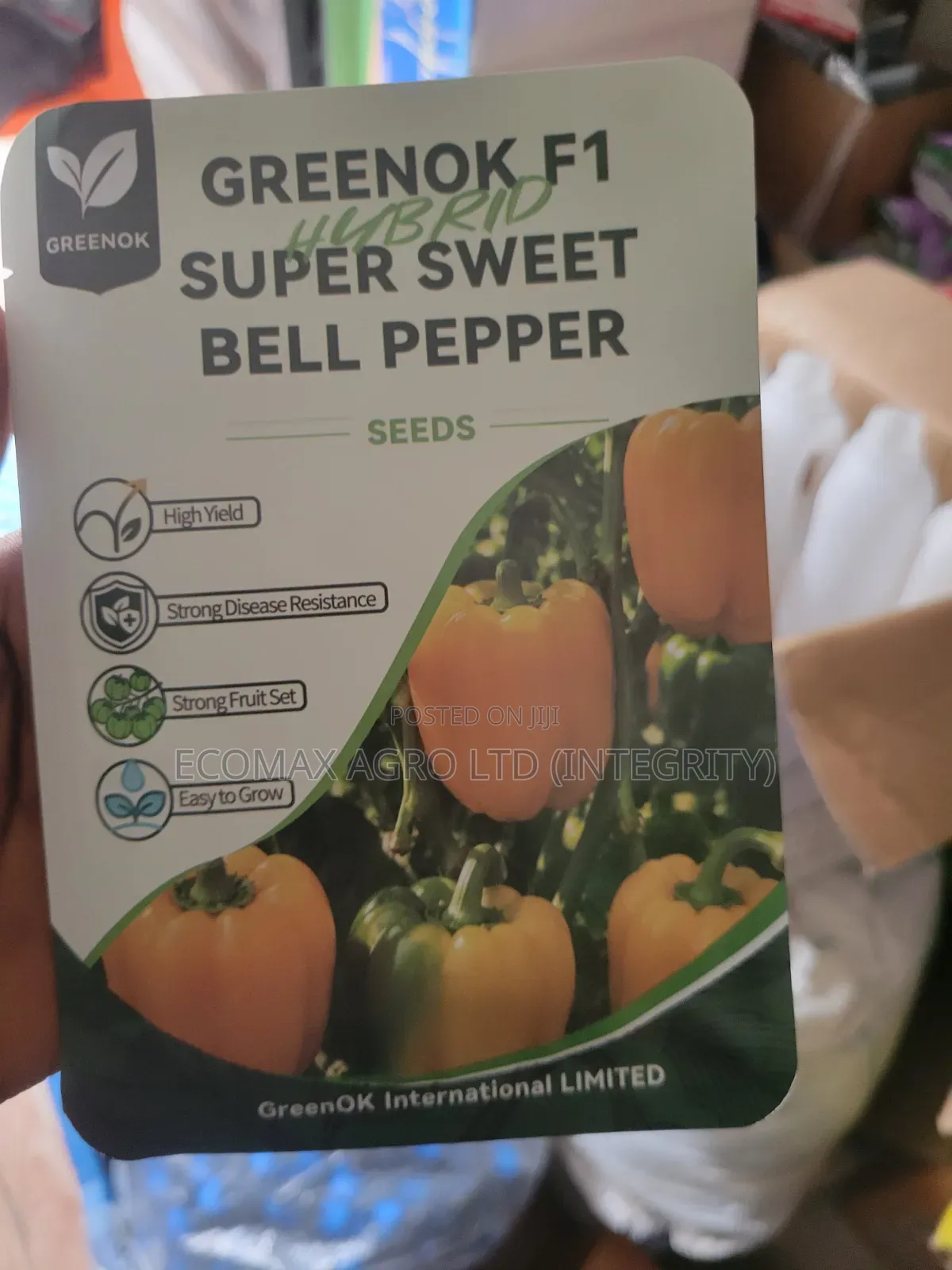 Sweet Pepper - Green Ok Bell Pepper