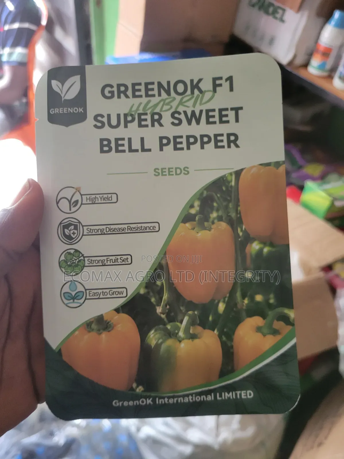 Sweet Pepper - Green Ok Bell Pepper