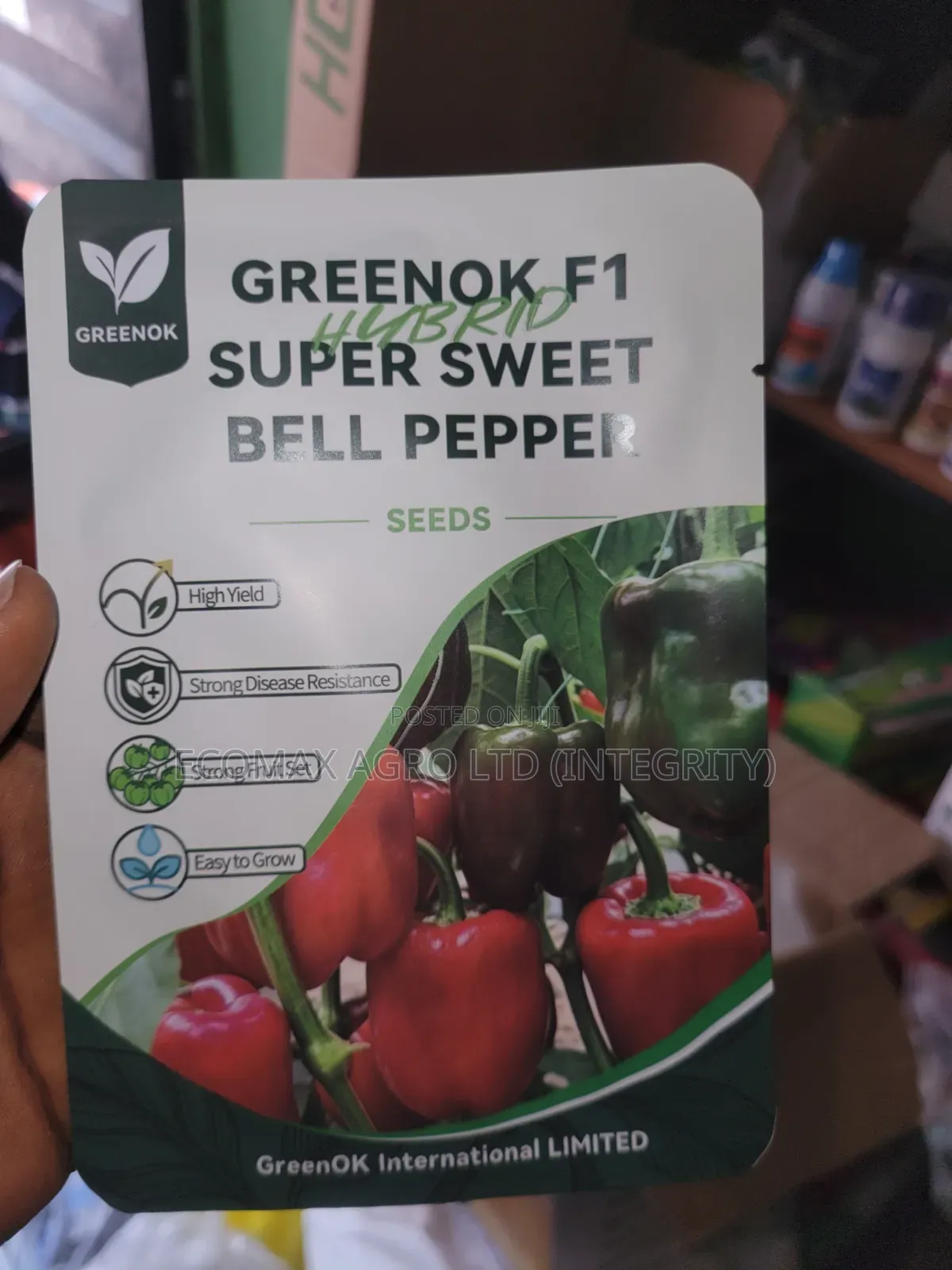 Sweet Pepper - Green Ok Bell Pepper