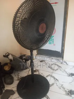 Standing Fan