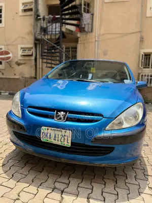 Peugeot 307 2007 Blue